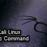 Kali Linux Basic Commands