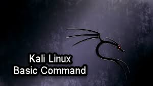 Kali Linux Basic Commands